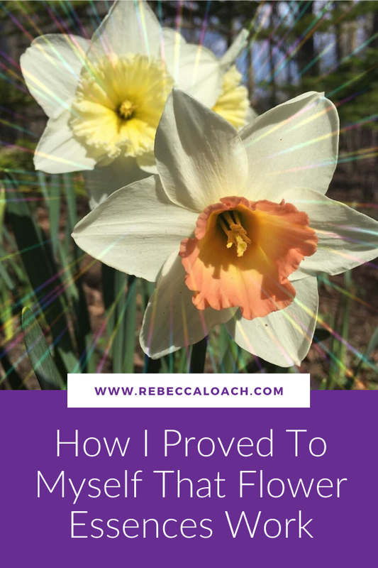 Do flower essences really work? I was skeptical...until I made one myself and experienced some pretty unexpected results! Read the full story here.