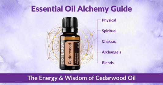 Essential Oil Alchemy Guide – The Energy & Wisdom of Cedarwood Essential Oil – Rebecca Loach