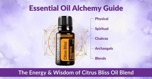 Essential Oil Alchemy Guide – The Energy & Wisdom of Citrus Bliss Essential Oil Blend – Rebecca Loach.
