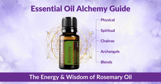 Essential Oil Alchemy Guide – The Energy & Wisdom of Rosemary Essential Oil – Rebecca Loach.