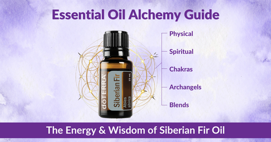 Essential Oil Alchemy Guide – The Energy & Wisdom of Siberian Fir Essential Oil – Rebecca Loach