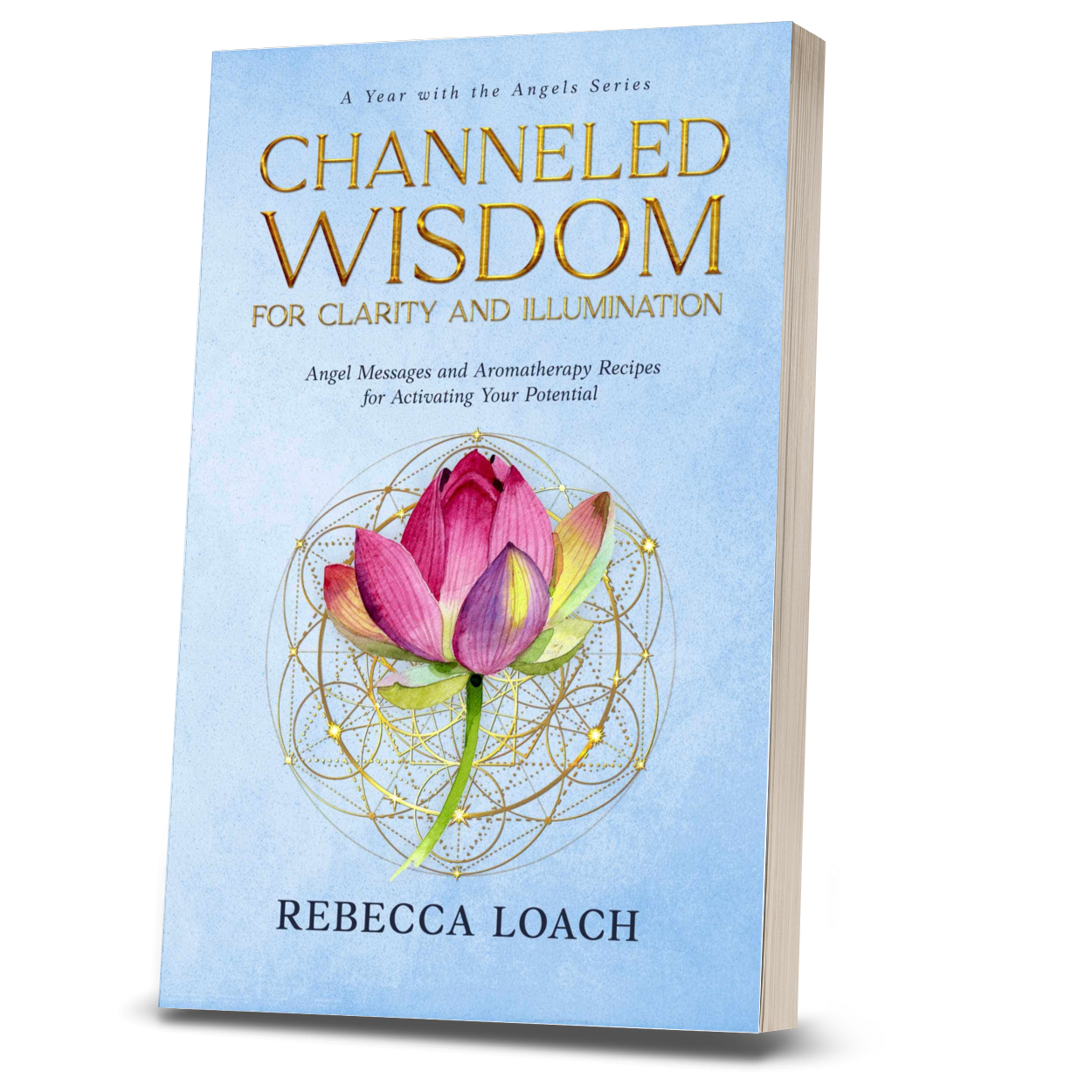 Channeled Wisdom for Clarity and Illumination (Paperback)