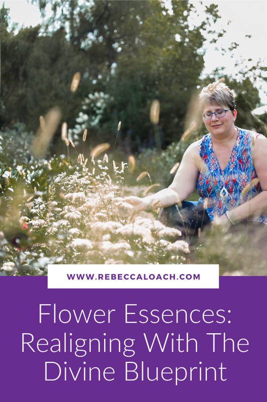 Working with flower essences provides us powerful, transformative energies that help us to realign with our Divine Blueprint and realign with the energies of clarity, freedom, and expansion every day. Learn more about the power of flower essences here. 