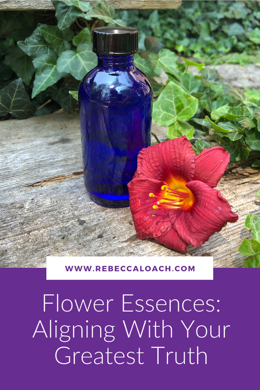 Nature provides us with exactly what we need to align with our greatest truth.⁣⁣ In this blog post, flower essence alchemist Rebecca Loach shares how flower essences can support you through your personal evolutionary growth during this chaotic time.