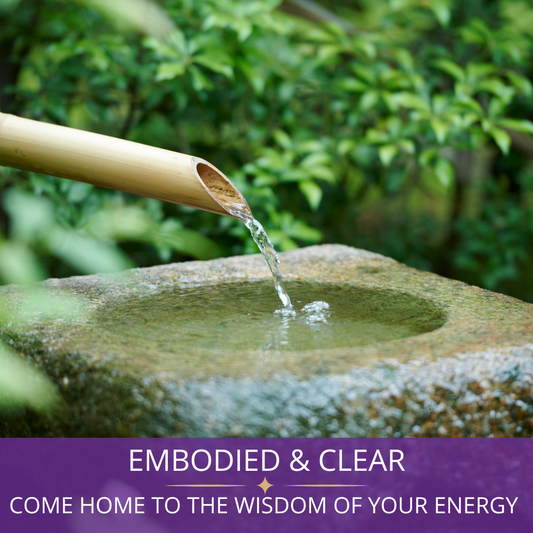 Embodied & Clear: Come Home to the Wisdom of Your Energy | Nov 22, 10am-5pm
