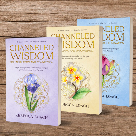 3 Book Bundle - A Year with the Angels Series (Paperback)
