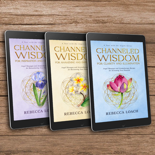 3 Book Bundle - A Year with the Angels Series (eBook)